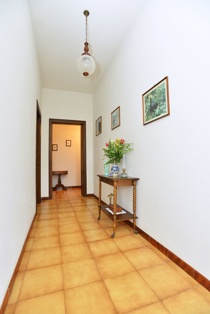 פולה Izzhome Cozy Sunflowers מראה חיצוני תמונה